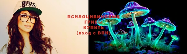 2c-b Заводоуковск
