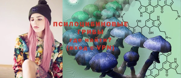 mdpv Зеленодольск